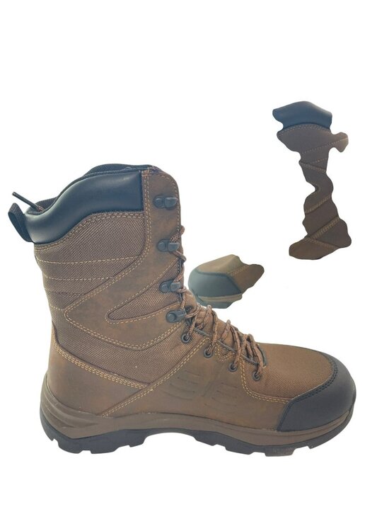 Irish Setter 10\